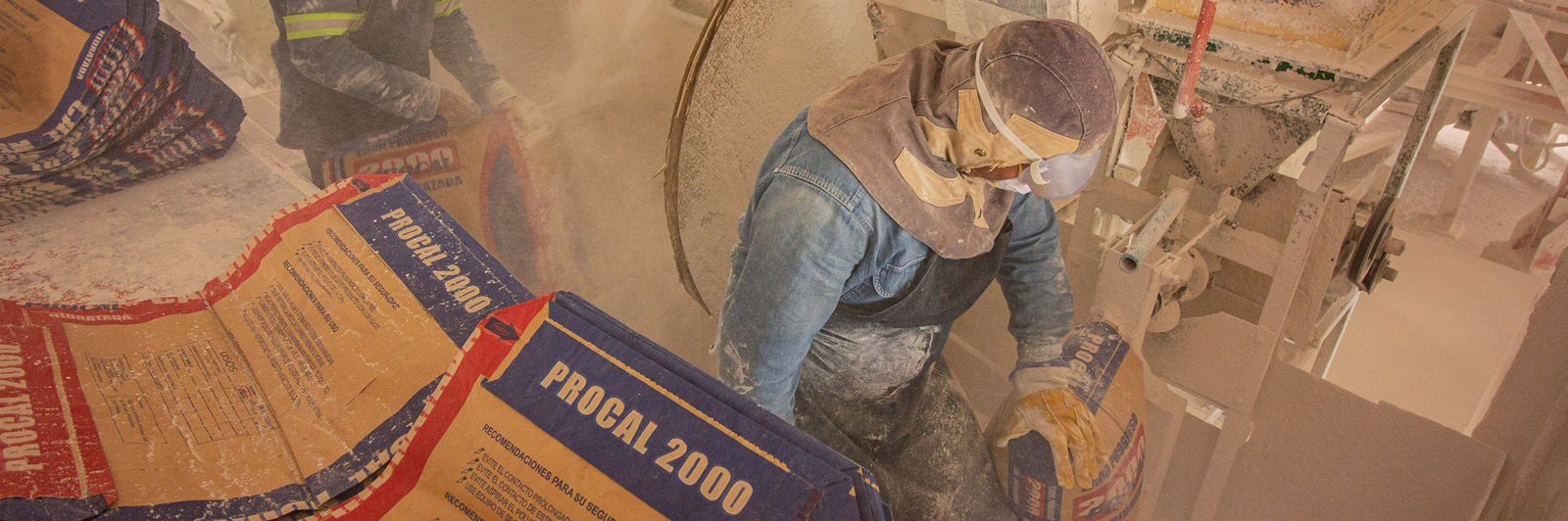 PROCAL 2000